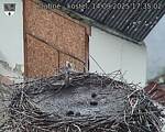 Capi_Dubne_20250914_173502.jpg
