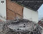 Capi_Dubne_20250914_174503.jpg