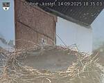 Capi_Dubne_20250914_183503.jpg