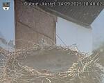 Capi_Dubne_20250914_184002.jpg