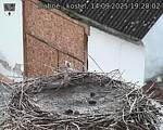 Capi_Dubne_20250914_192002.jpg