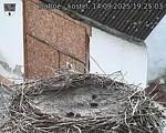 Capi_Dubne_20250914_192503.jpg