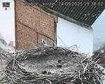 Capi_Dubne_20250914_193003.jpg