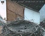 Capi_Dubne_20250914_193502.jpg