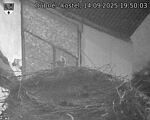 Capi_Dubne_20250914_195003.jpg
