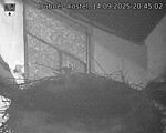 Capi_Dubne_20250914_204503.jpg