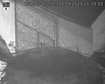 Capi_Dubne_20250914_211002.jpg