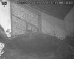 Capi_Dubne_20250915_001003.jpg