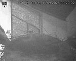 Capi_Dubne_20250915_002003.jpg