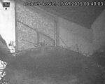 Capi_Dubne_20250915_004003.jpg