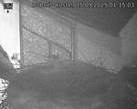 Capi_Dubne_20250915_011503.jpg