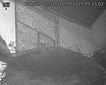 Capi_Dubne_20250915_051502.jpg