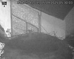 Capi_Dubne_20250915_053003.jpg