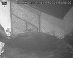 Capi_Dubne_20250915_055502.jpg