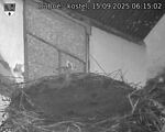 Capi_Dubne_20250915_061502.jpg