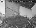 Capi_Dubne_20250915_062003.jpg