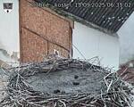 Capi_Dubne_20250915_063502.jpg