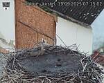 Capi_Dubne_20250915_071502.jpg