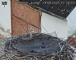 Capi_Dubne_20250915_072003.jpg