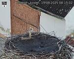 Capi_Dubne_20250915_081502.jpg