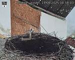 Capi_Dubne_20250915_085003.jpg