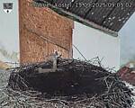 Capi_Dubne_20250915_090502.jpg