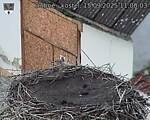 Capi_Dubne_20250915_110003.jpg
