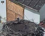 Capi_Dubne_20250915_140002.jpg