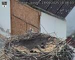 Capi_Dubne_20250915_180003.jpg