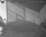 Capi_Dubne_20250915_200003.jpg