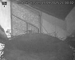 Capi_Dubne_20250915_210002.jpg