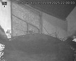 Capi_Dubne_20250915_220003.jpg