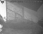 Capi_Dubne_20250916_000002.jpg