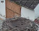 Capi_Dubne_20250916_070002.jpg