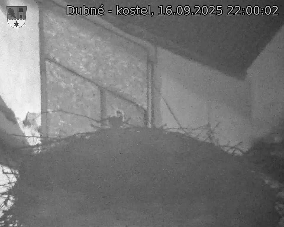 Capi_Dubne_20250916_220002.jpg (1350 x 1080)