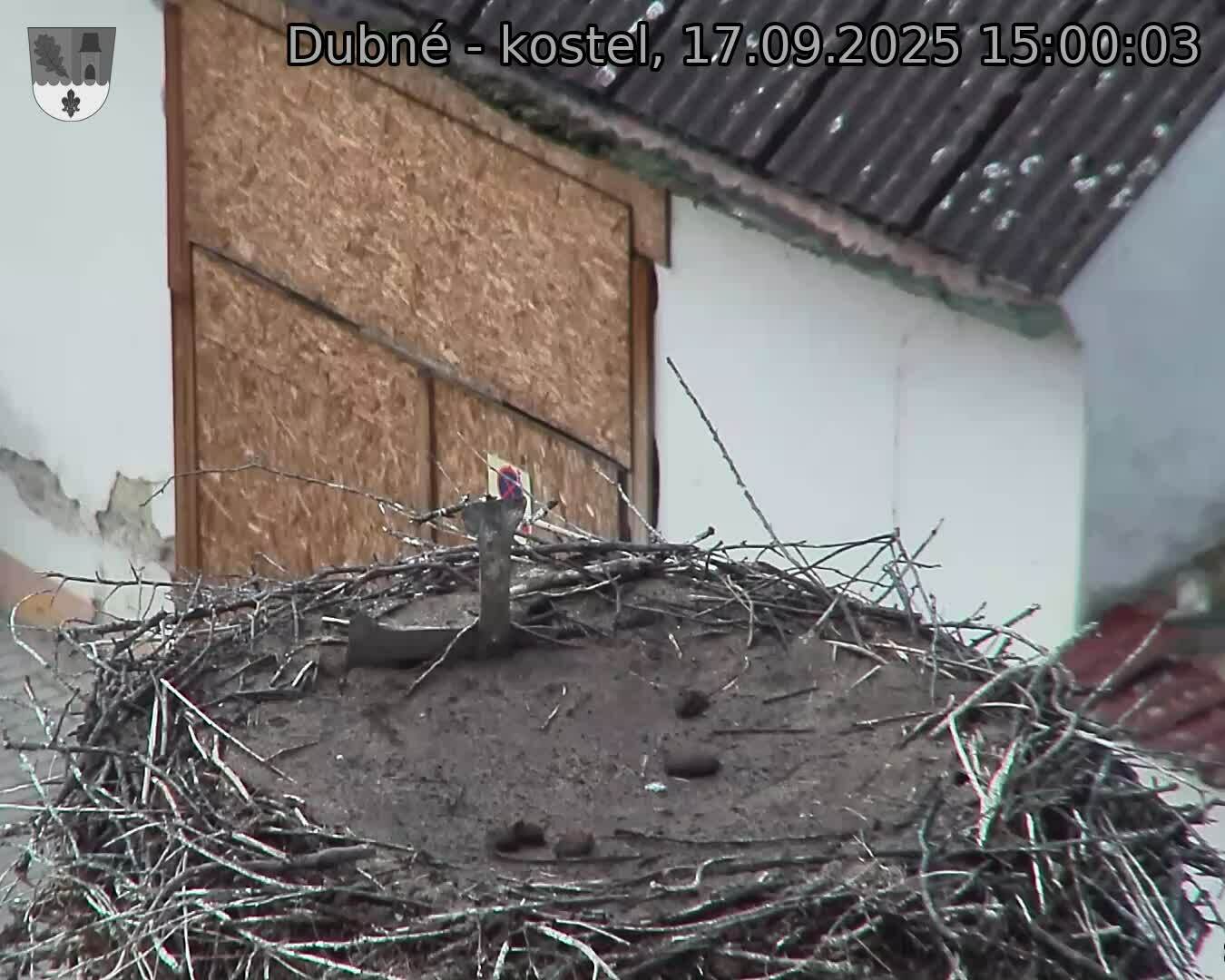 Capi_Dubne_20250917_150003.jpg (1350 x 1080)