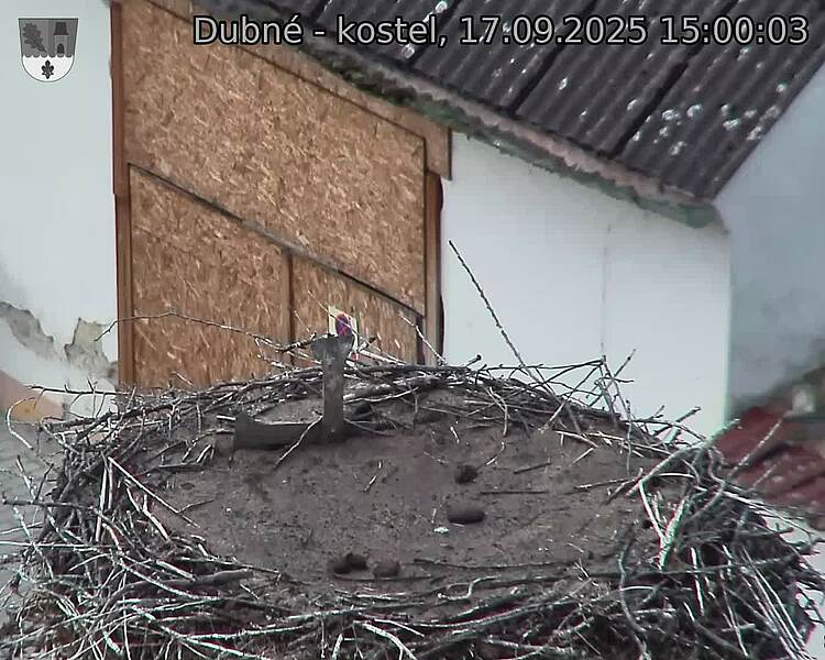 Capi_Dubne_20250917_150003.jpg (1350 x 1080)