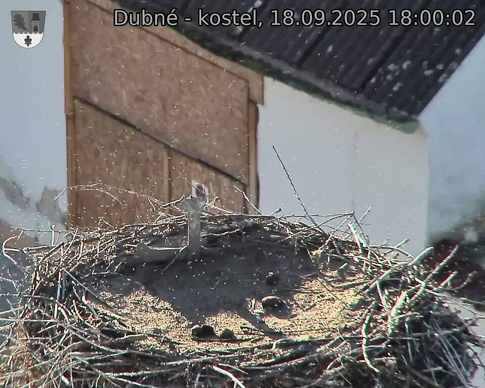 Capi_Dubne_20250918_180002.jpg (1350 x 1080)