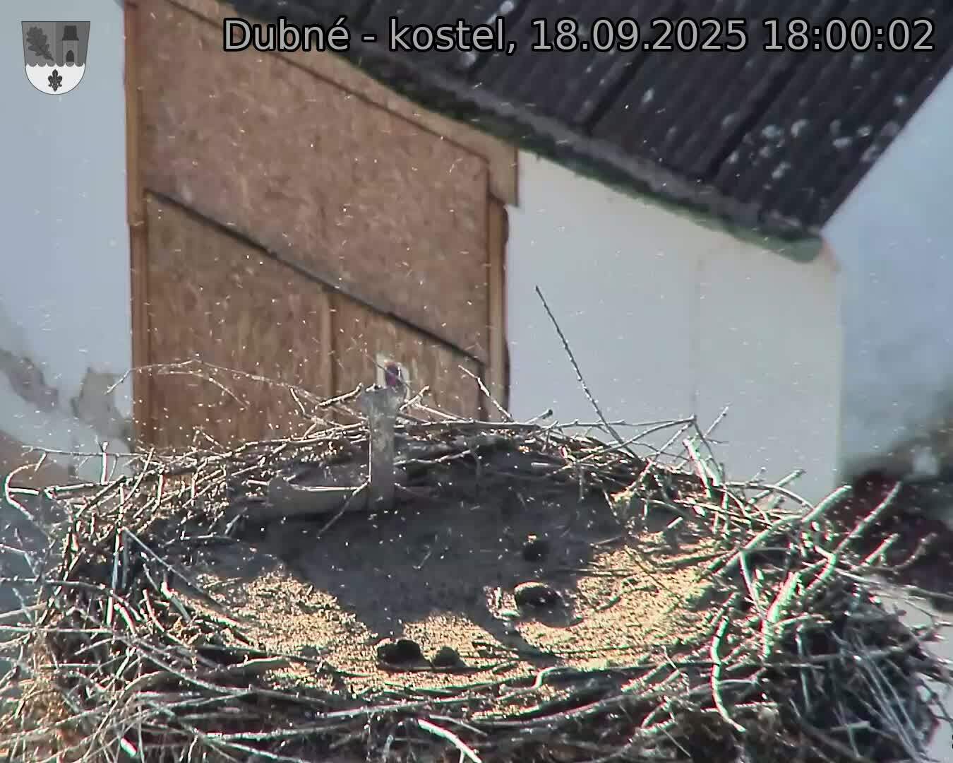 Capi_Dubne_20250918_180002.jpg (1350 x 1080)