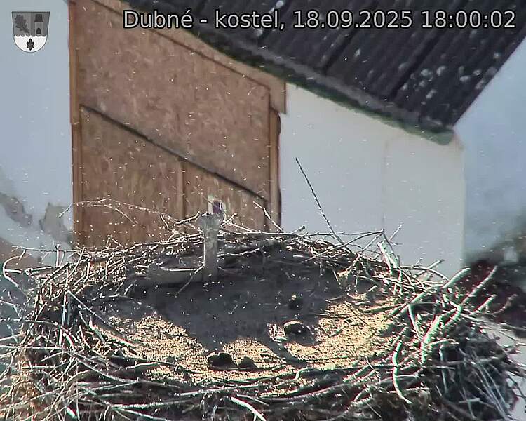 Capi_Dubne_20250918_180002.jpg (1350 x 1080)