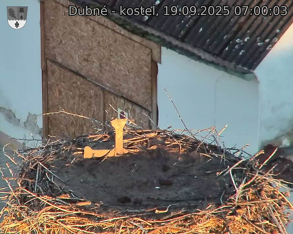 Capi_Dubne_20250919_070003.jpg (1350 x 1080)