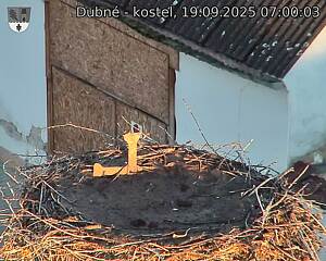 Capi_Dubne_20250919_070003.jpg (1350 x 1080)