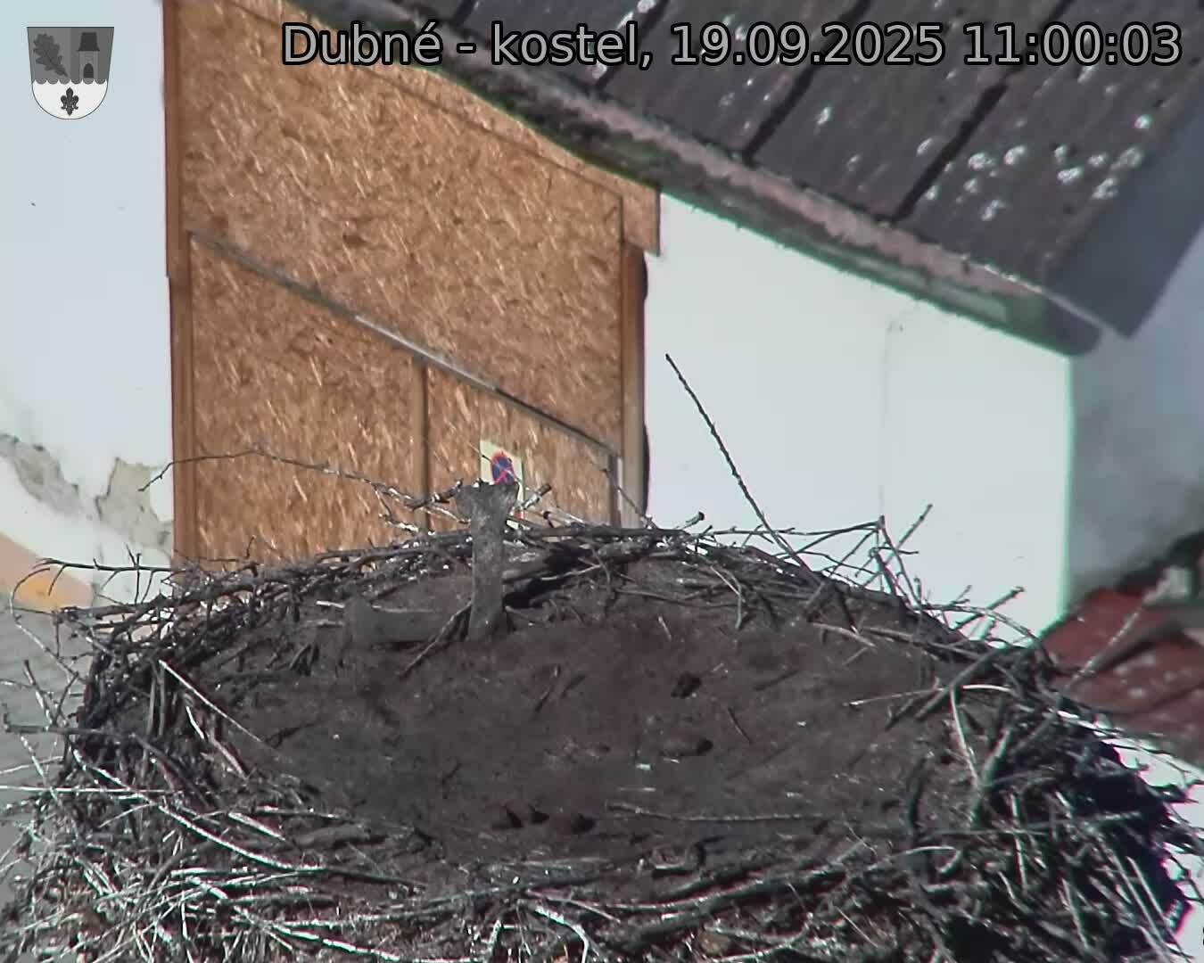 Capi_Dubne_20250919_110003.jpg (1350 x 1080)