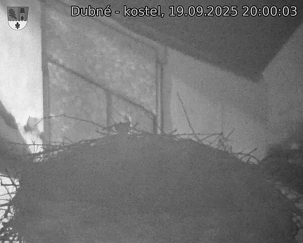 Capi_Dubne_20250919_200003.jpg (1350 x 1080)