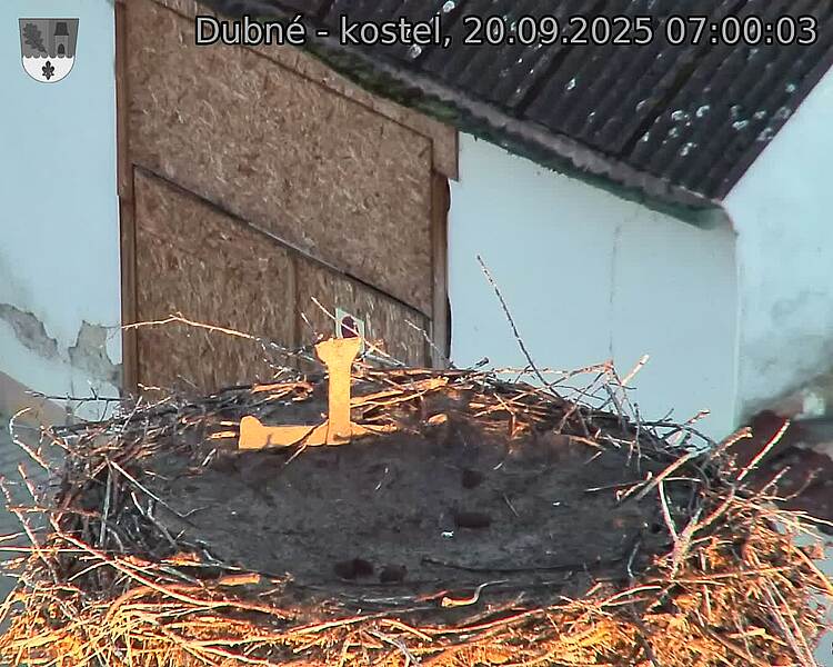 Capi_Dubne_20250920_070003.jpg (1350 x 1080)