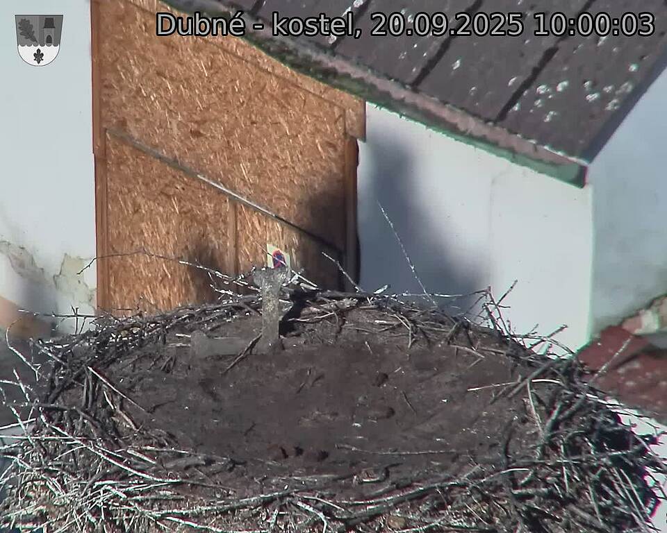 Capi_Dubne_20250920_100003.jpg (1350 x 1080)