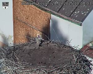 Capi_Dubne_20250920_100003.jpg (1350 x 1080)