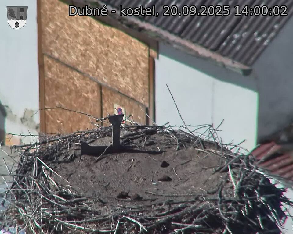 Capi_Dubne_20250920_140002.jpg (1350 x 1080)