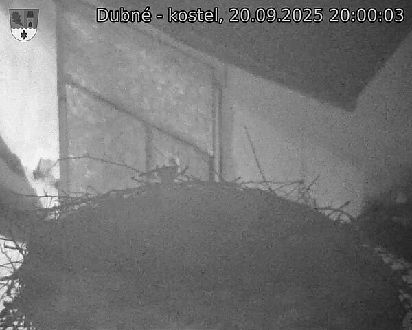 Capi_Dubne_20250920_200003.jpg (1350 x 1080)