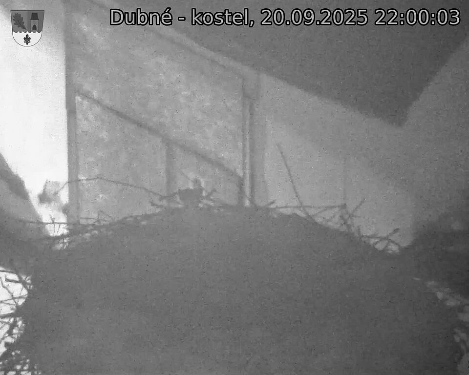 Capi_Dubne_20250920_220003.jpg (1350 x 1080)